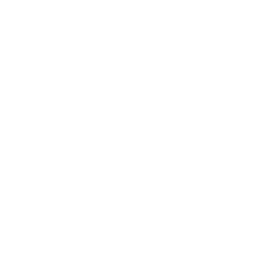Map icon