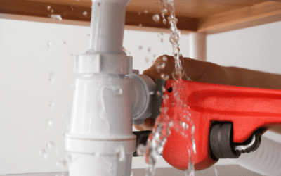 Four Steps to Take if You Find a Plumbing Leak in Your Home